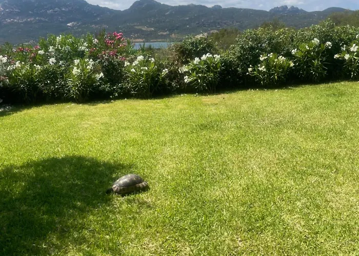 Residenza Costasmeraldina